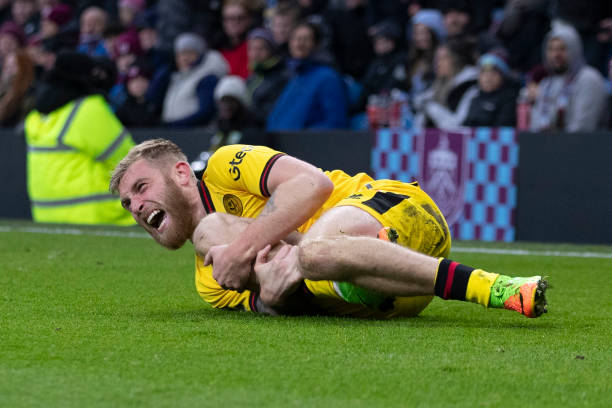 他们对法耶 他们对法耶