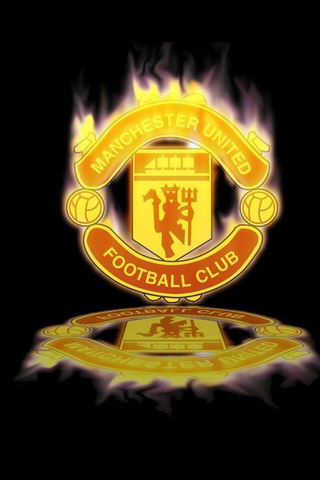 丰富定位球 丰富定位球